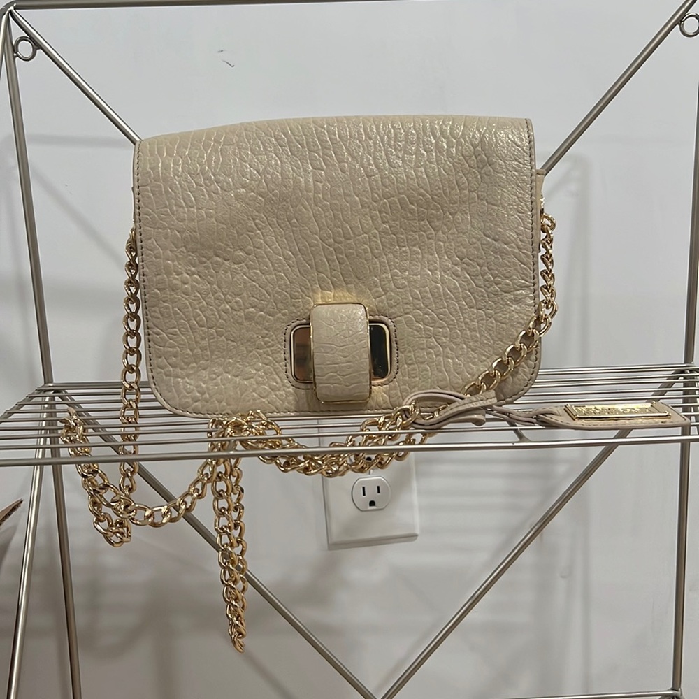 Badgley Mischka Purse